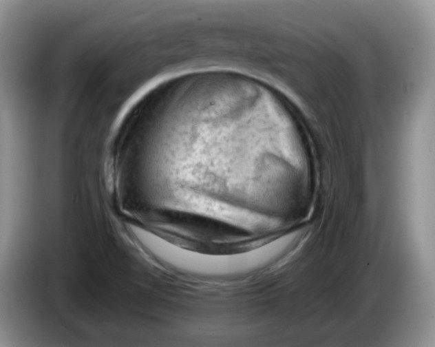 X0000084051510200703092041