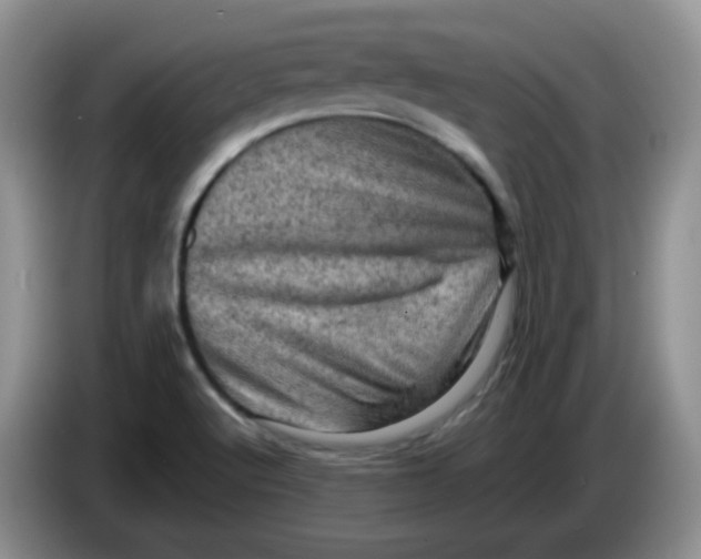 X0000084051512200703092042