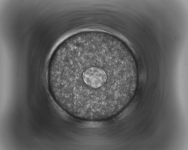 X0000084051514200703092042