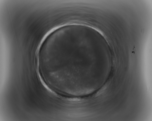 X0000084051515200703092042