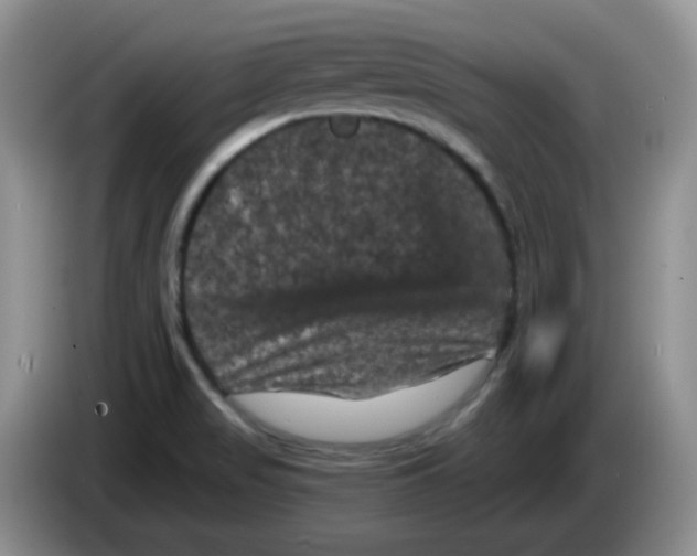 X0000084051517200703092042