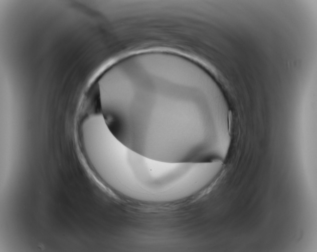 X0000084051518200703092042