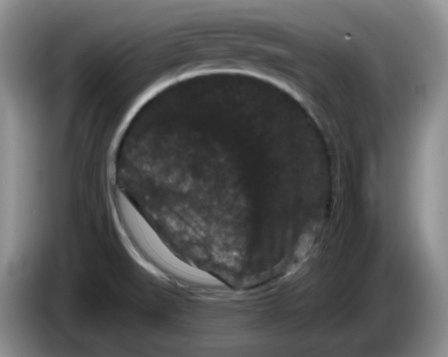 X0000084051519200703092042