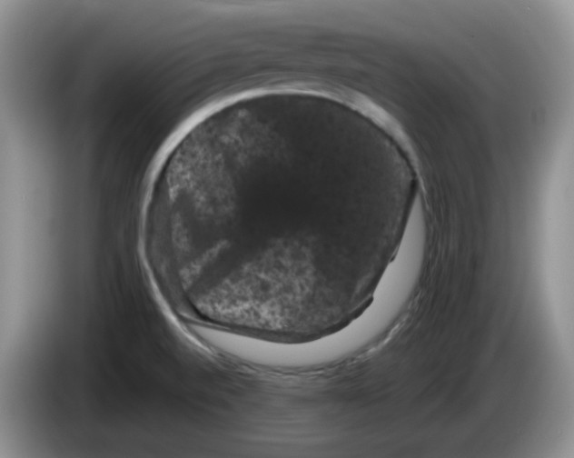 X0000084051520200703092042