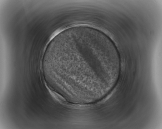 X0000084051521200703092042