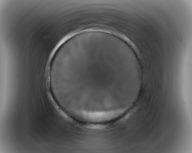 X0000084051522200703092042