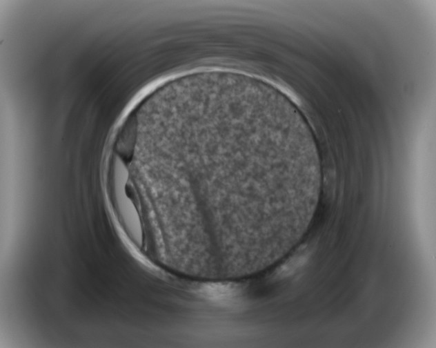 X0000084051523200703092042