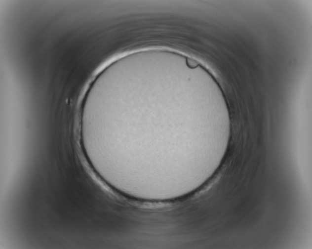 X0000084051526200703092042