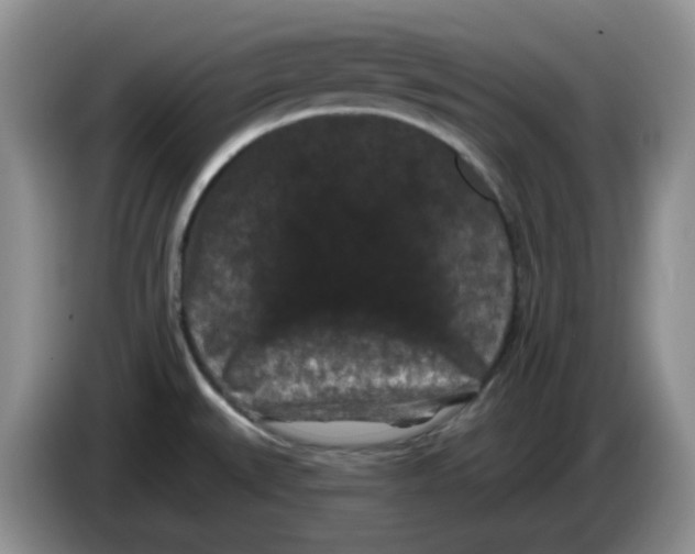 X0000084051527200703092042