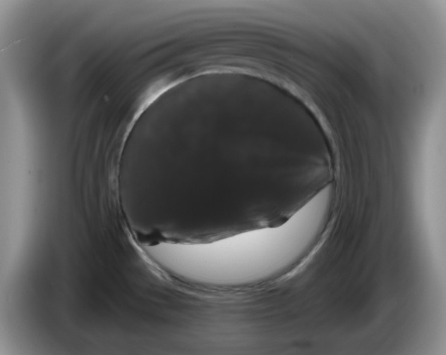 X0000084051529200703092042