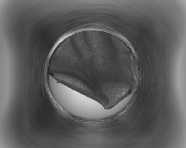 X0000084051530200703092042