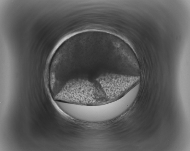 X0000084051531200703092042