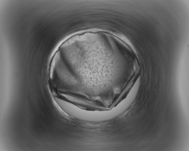 X0000084051532200703092042