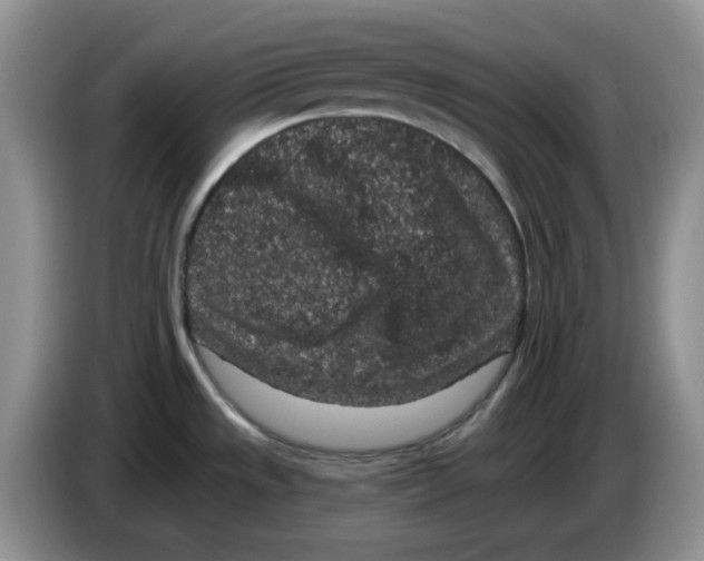 X0000084051533200703092042