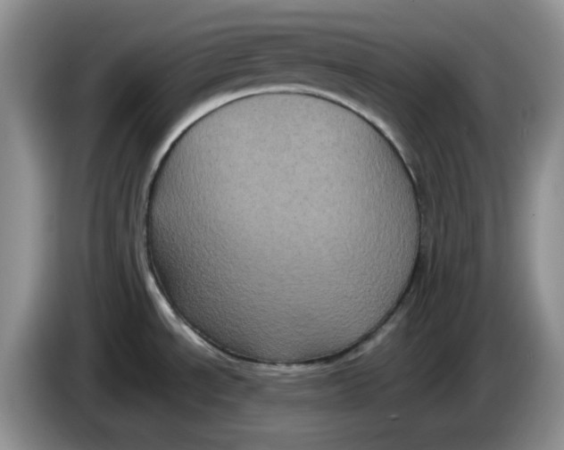 X0000084051534200703092042