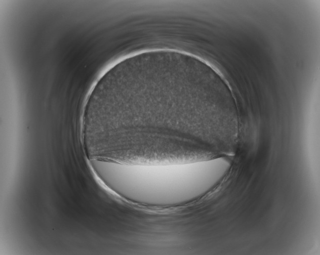 X0000084051535200703092042