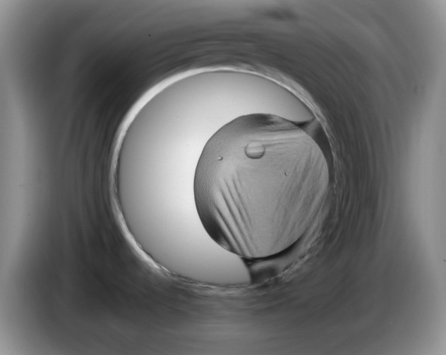 X0000084051536200703092042