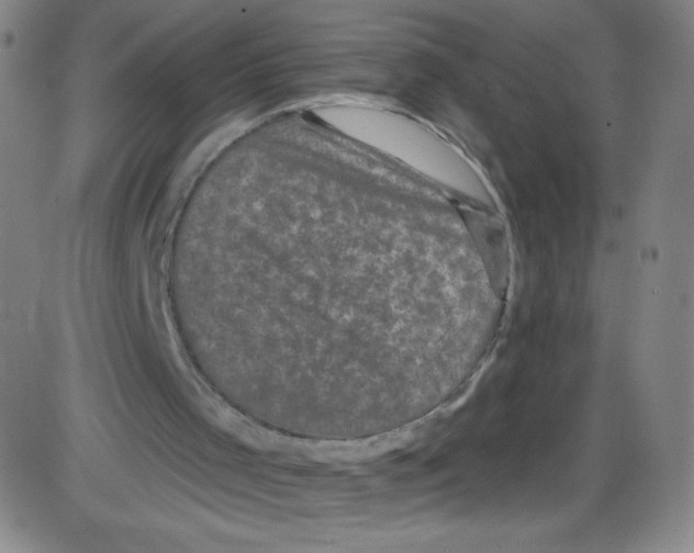 X0000084050001200703161908