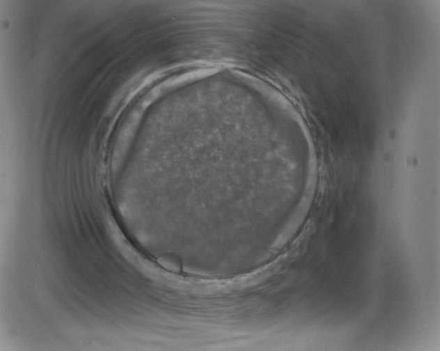 X0000084050002200703161908