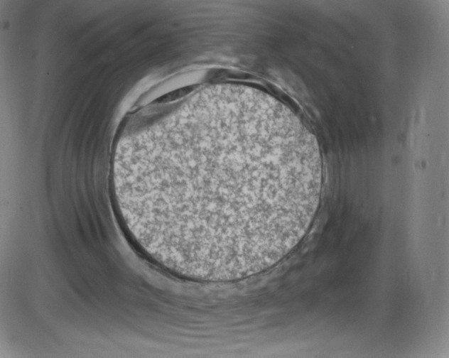 X0000084050003200703161908