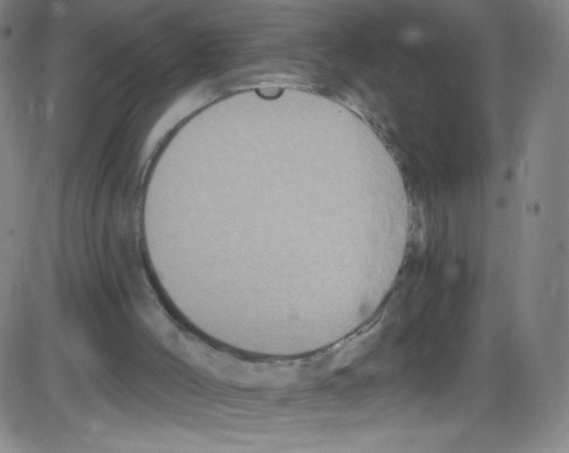 X0000084050004200703161908