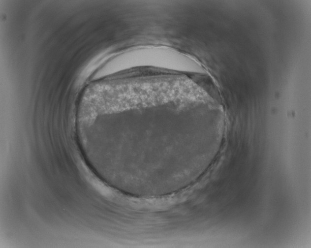 X0000084050005200703161908