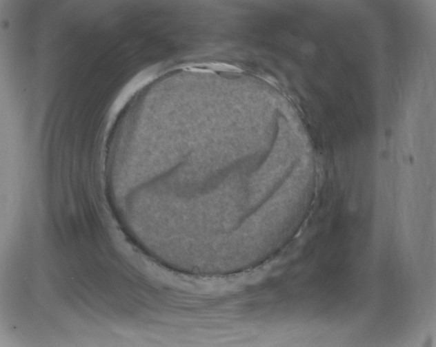 X0000084050006200703161908