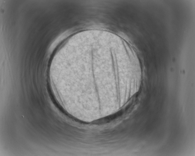 X0000084050007200703161908