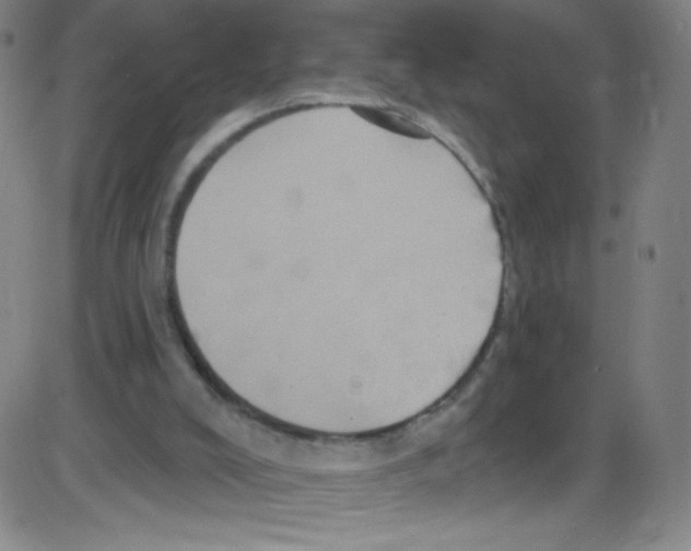 X0000084050008200703161908