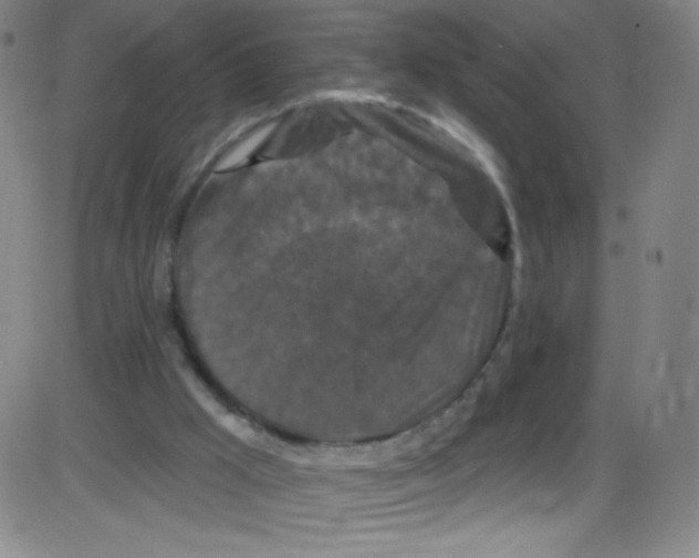 X0000084050009200703161908