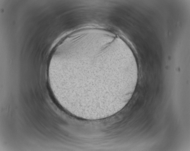 X0000084050011200703161908