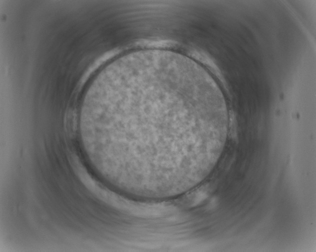 X0000084050012200703161908