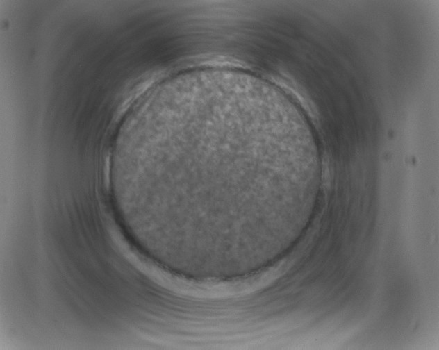 X0000084050014200703161908