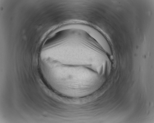 X0000084050015200703161908