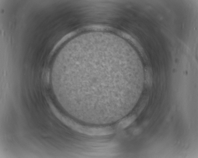 X0000084050016200703161908