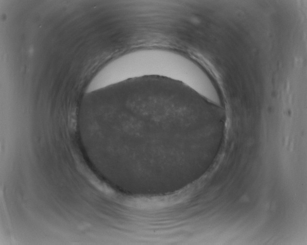 X0000084050017200703161908