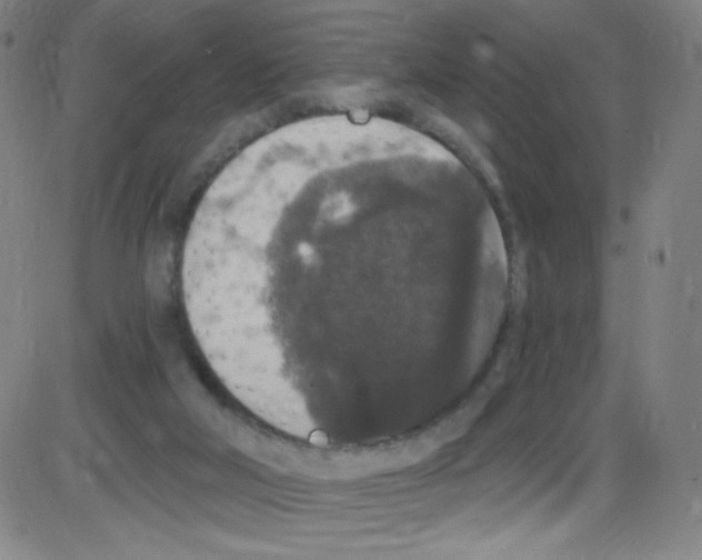 X0000084050018200703161908