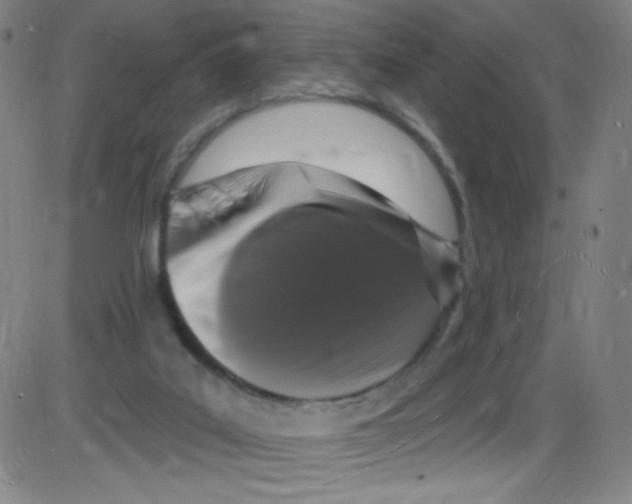 X0000084050019200703161908