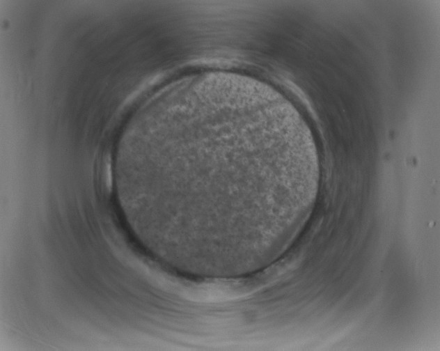 X0000084050020200703161908