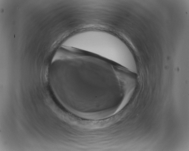 X0000084050023200703161908