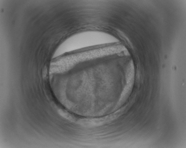 X0000084050025200703161908