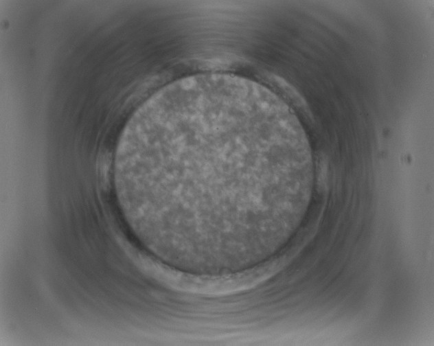 X0000084050026200703161908