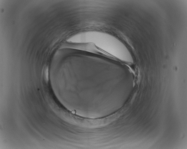 X0000084050027200703161908