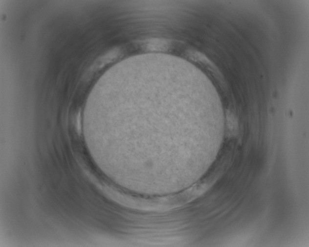 X0000084050028200703161908