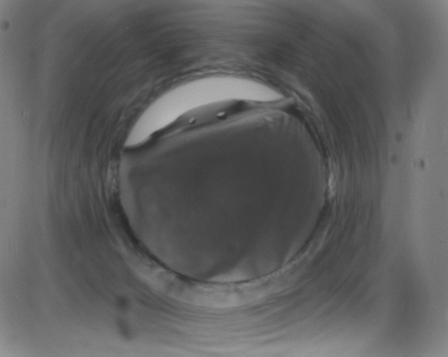 X0000084050029200703161908