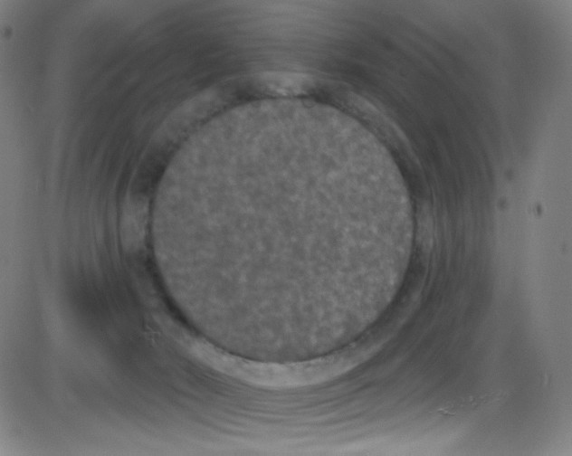 X0000084050030200703161908