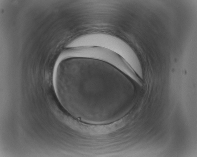 X0000084050031200703161908