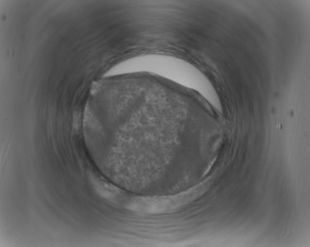 X0000084050033200703161908