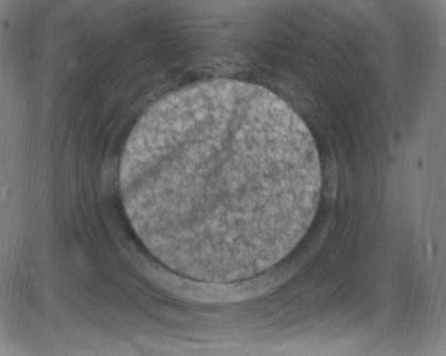 X0000084050034200703161908