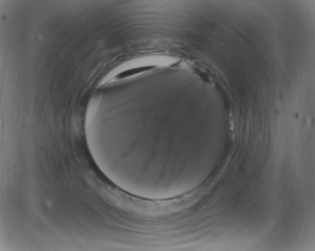 X0000084050035200703161908